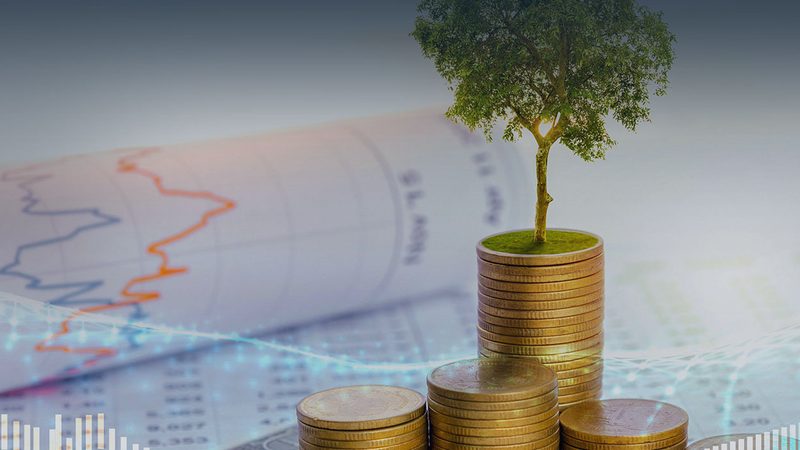 上市辅导课程表背后藏着哪些企业真实需求